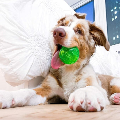 Hyper Pet DuraSqueak Dog Ball Toy, Interactive Dog Toys that Float and Squeaks for Playing, Fetching and Retrieving-Great Alternative to Traditional Tennis Balls Green 2.5 Inch