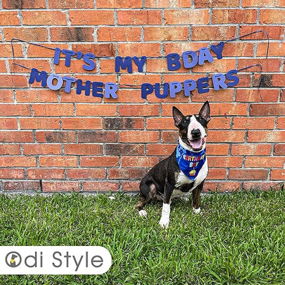 Dog Birthday Party Supplies - Bandana Set with Party Hat, Crown and Banner - 'It's My Birthday Mother Puppers' for Medium, Large Dogs