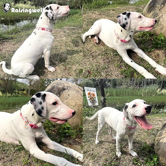 Cotton Dogs Collar Light Pink Flower Patterns for Boys and Girls Cute Dog Collars Summer Fall Gift Adjustable for Medium to X-Large Breed Dogs (L)